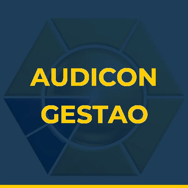 Foto de AUDICON GESTAO EMPRESARIAL