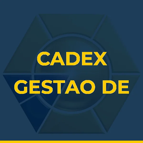 Foto de CADEX GESTAO DE NEGOCIOS LTDA