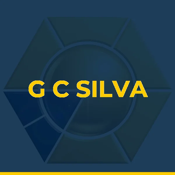Foto de G C SILVA SERVICOS LTDA