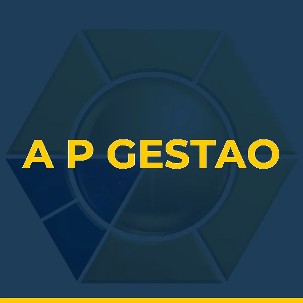 Foto de A P GESTAO E SERVICOS ADMINISTRATIVOS LTDA