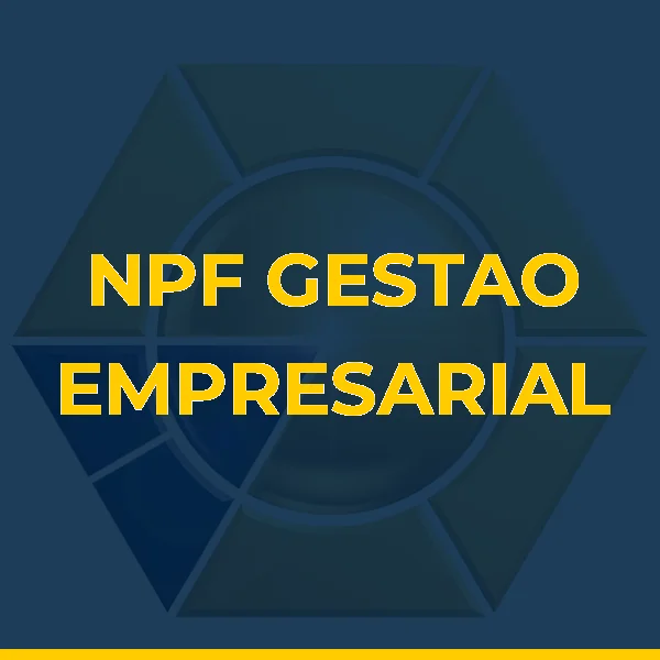 Foto de NPF GESTAO EMPRESARIAL LTDA