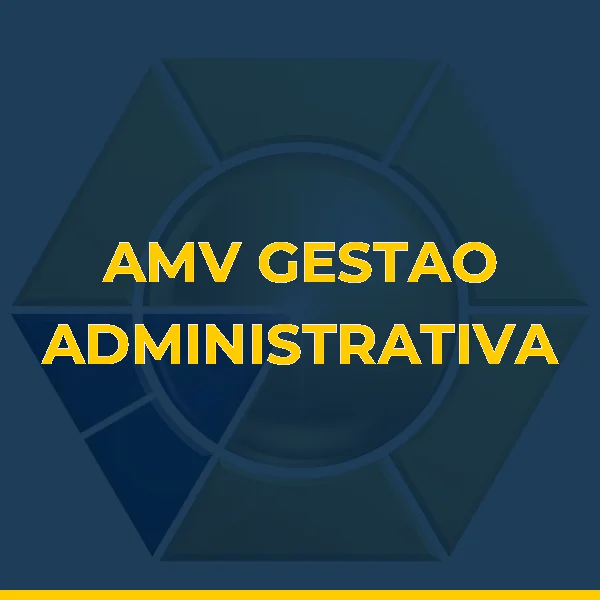Foto de AMV GESTAO ADMINISTRATIVA