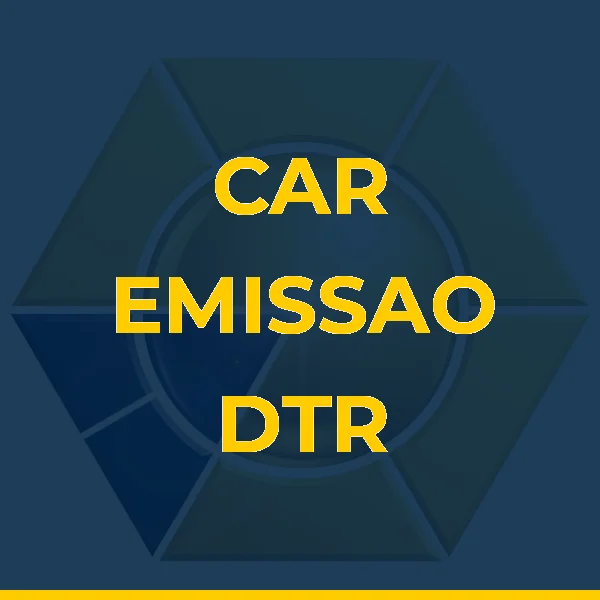 Foto de CAR EMISSAO DTR VEICULAR