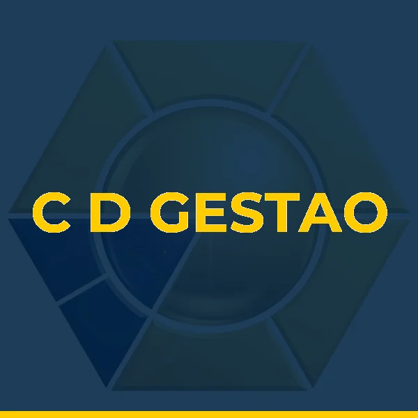 Foto de C D GESTAO LTDA