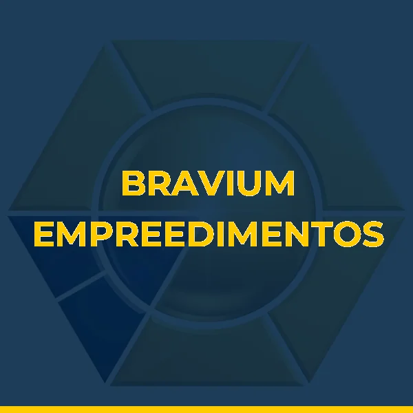 Foto de BRAVIUM EMPREEDIMENTOS FINANCEIROS