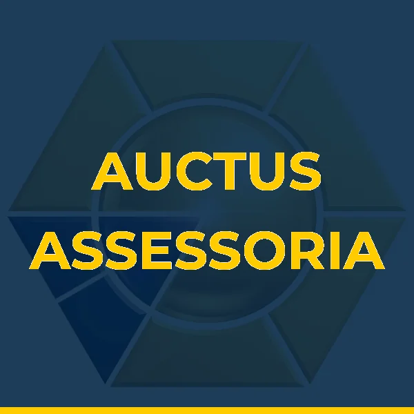 Foto de AUCTUS ASSESSORIA