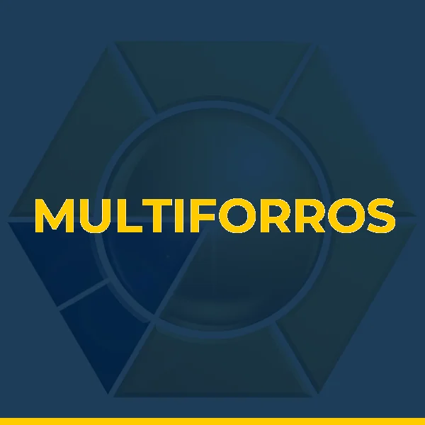 Foto de MULTIFORROS
