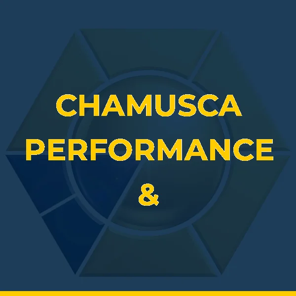 Foto de CHAMUSCA PERFORMANCE & REABILITACAO
