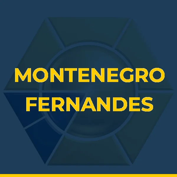 Foto de MONTENEGRO FERNANDES STUDIOS LTDA