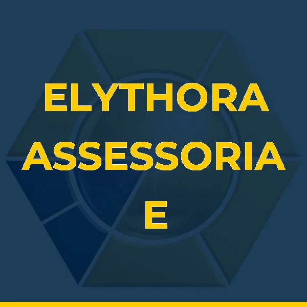 Foto de ELYTHORA ASSESSORIA E CONSULTORIA ESPORTIVA LTDA