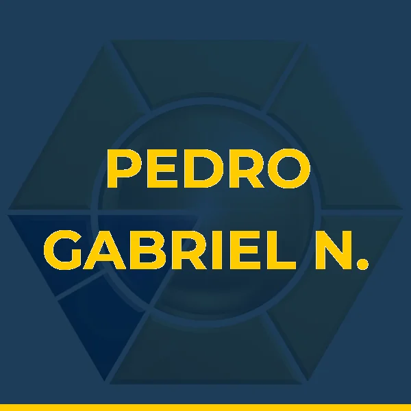 Foto de PEDRO GABRIEL N. S. BRANDAO LTDA