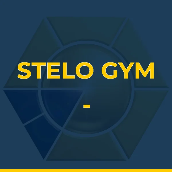 Foto de STELO GYM - CONDICIONAMENTO FISICO PERSONALIZADO