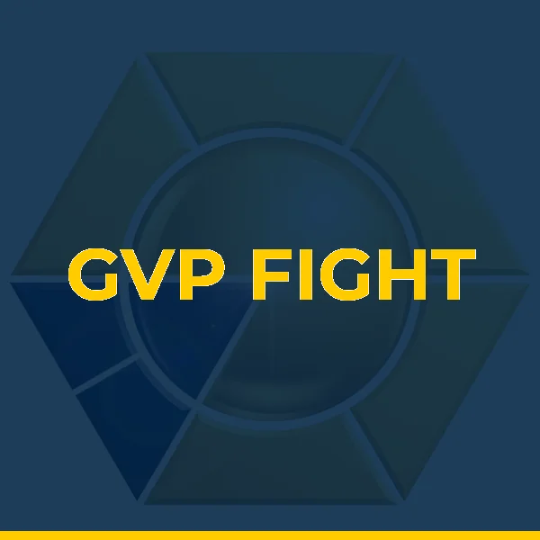 Foto de GVP FIGHT
