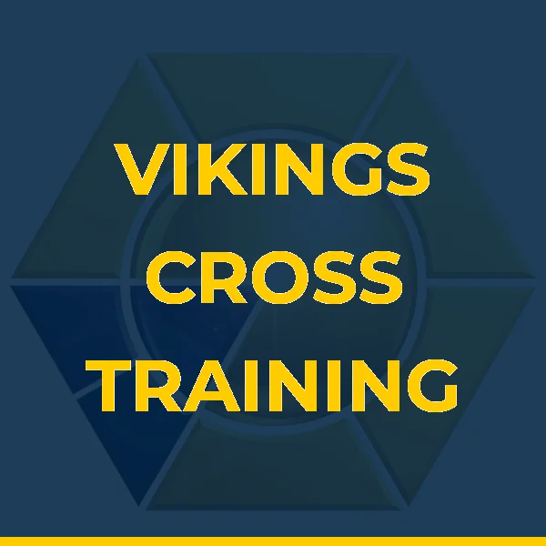 Foto de VIKINGS CROSS TRAINING