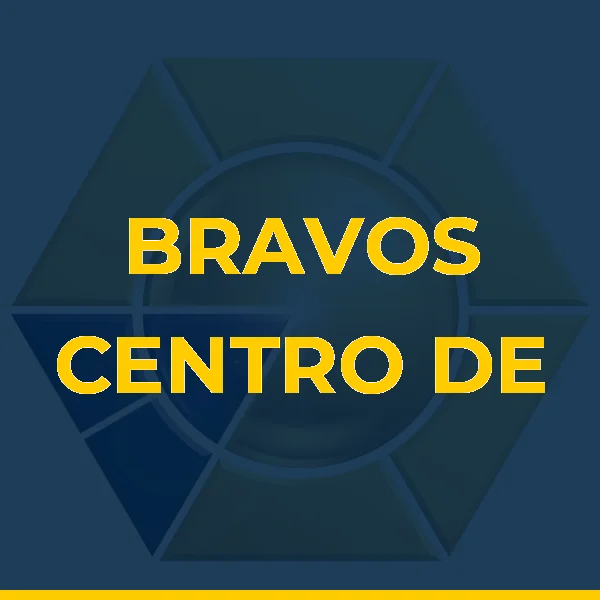Foto de BRAVOS CENTRO DE TREINAMENTO 3D LTDA