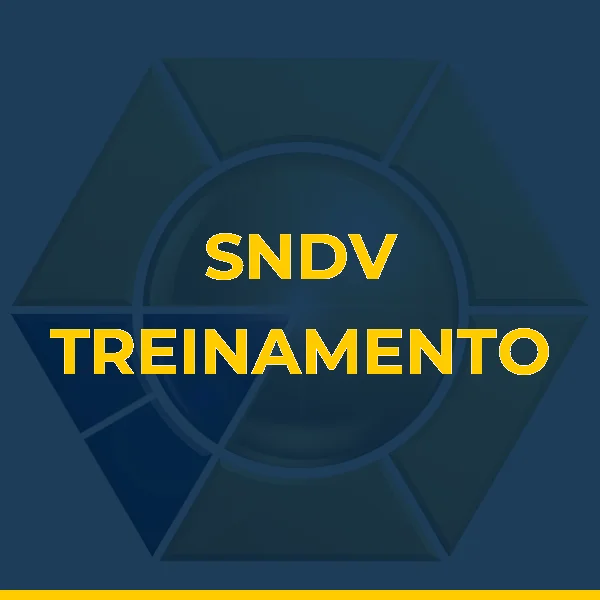 Foto de SNDV TREINAMENTO ESPECIALIZADO LTDA