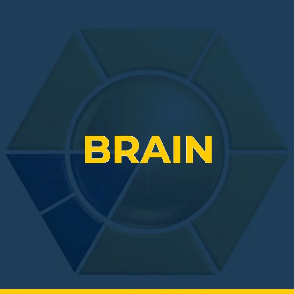 Foto de BRAIN