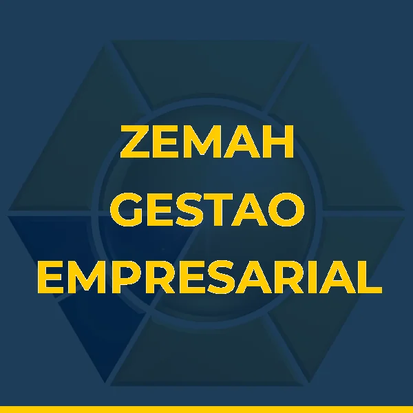 Foto de ZEMAH GESTAO EMPRESARIAL