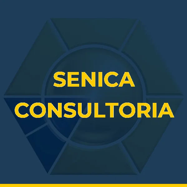 Foto de SENICA CONSULTORIA