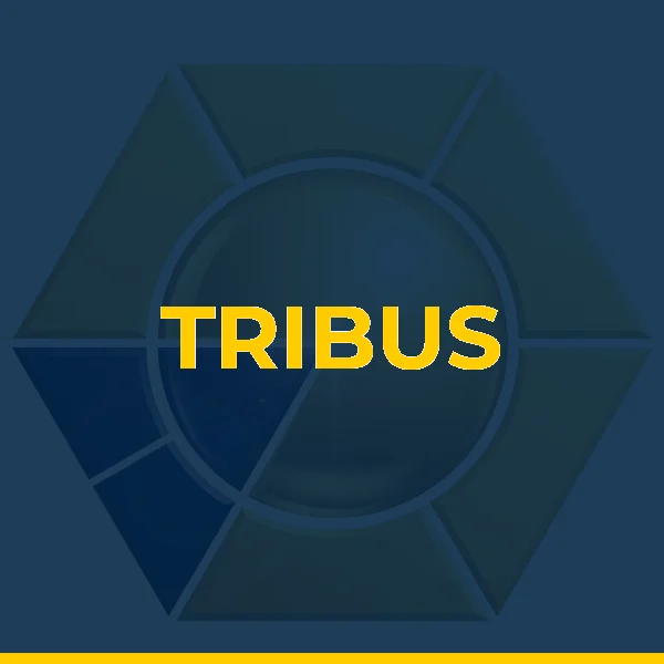 Foto de TRIBUS