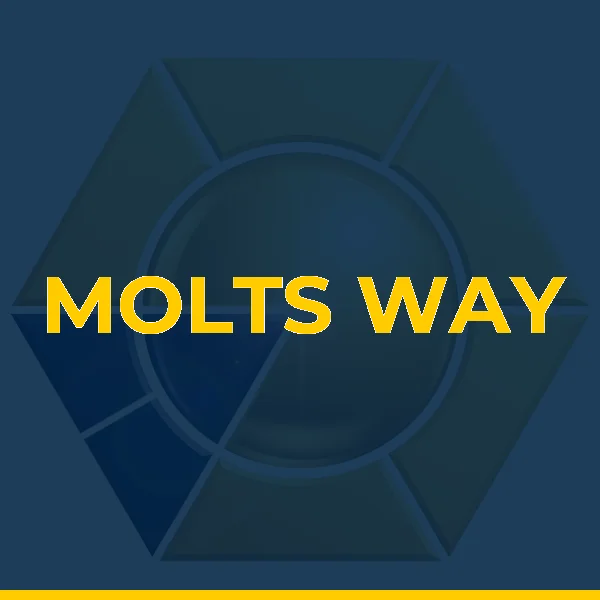 Foto de MOLTS WAY