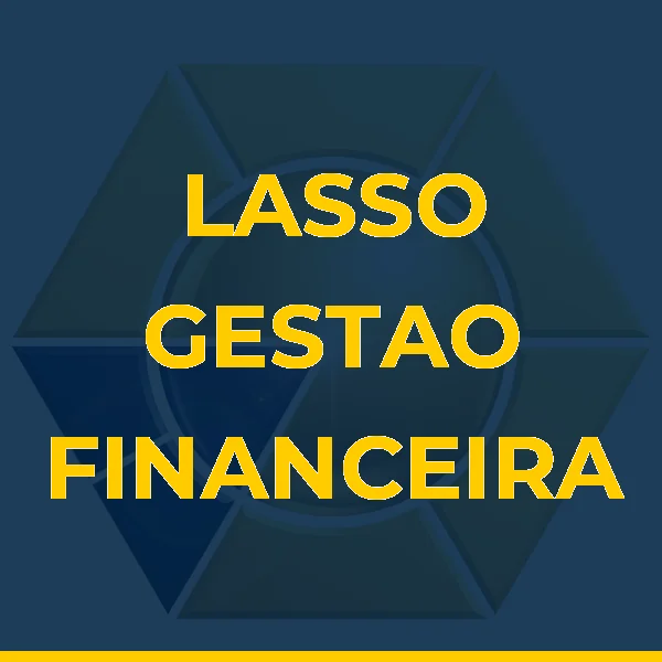 Foto de LASSO GESTAO FINANCEIRA