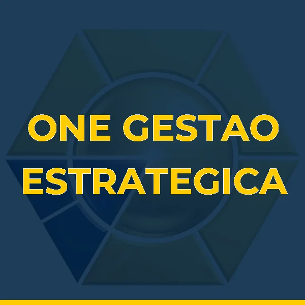 Foto de ONE GESTAO ESTRATEGICA LTDA