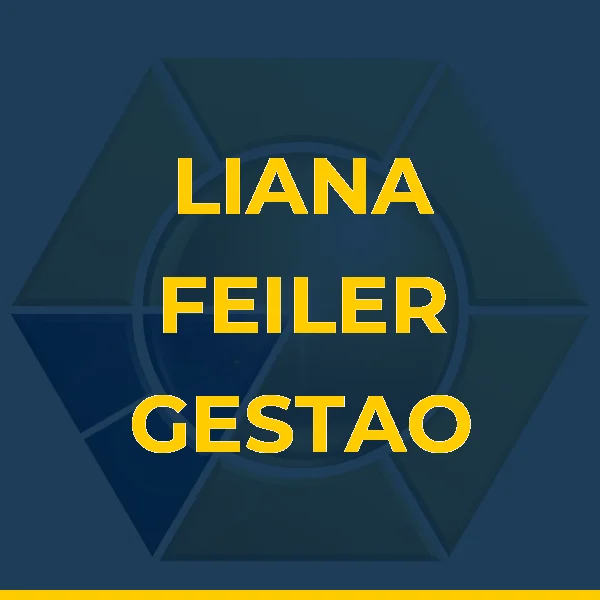 Foto de LIANA FEILER GESTAO COMERCIAL LTDA