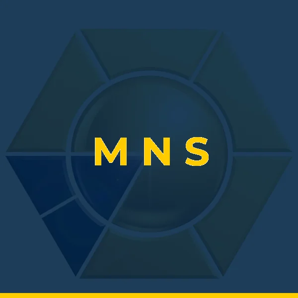 Foto de M N S SERVICOS ADMINISTRATIVOS LTDA