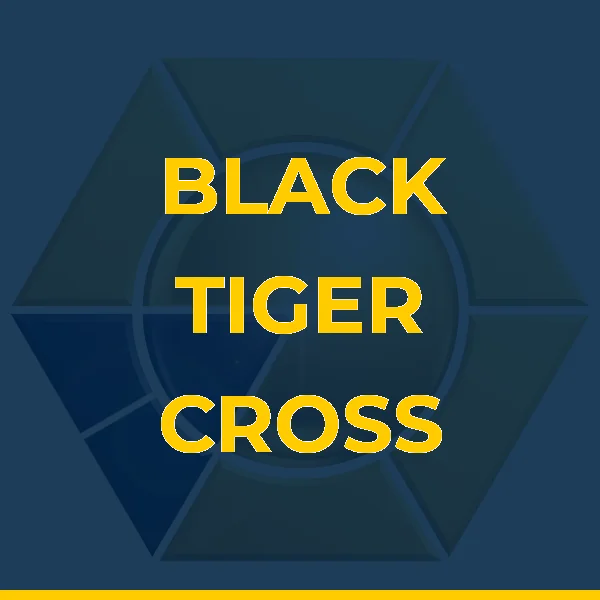 Foto de BLACK TIGER CROSS TRAINING
