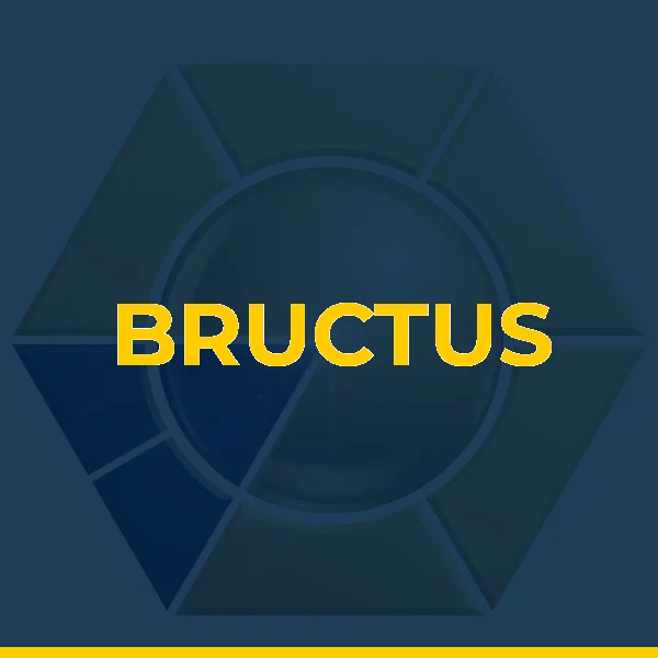 Foto de BRUCTUS