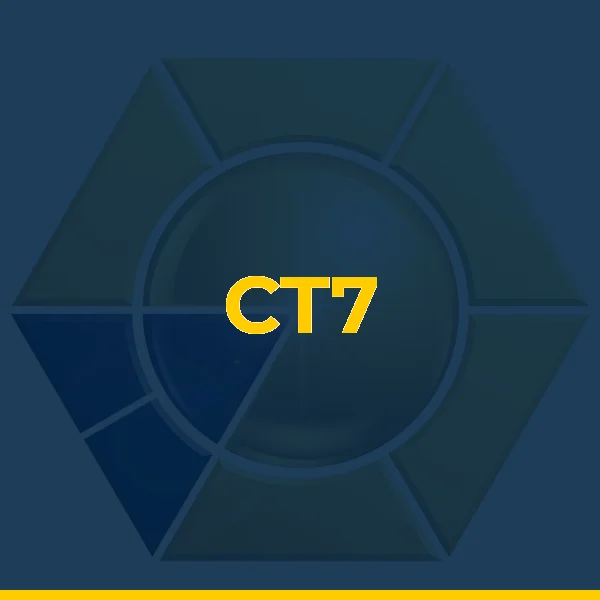 Foto de CT7