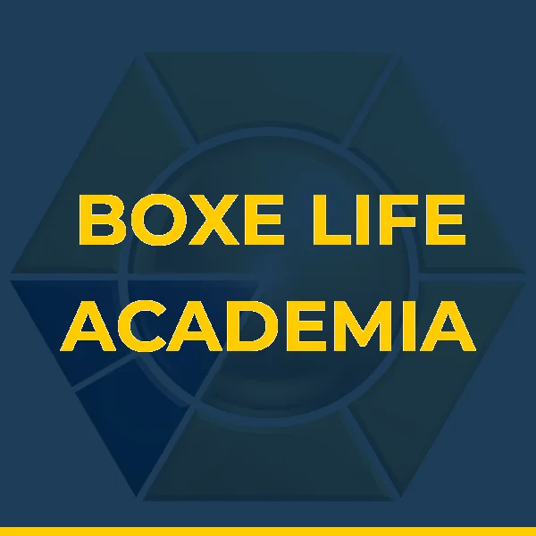 Foto de BOXE LIFE ACADEMIA LTDA