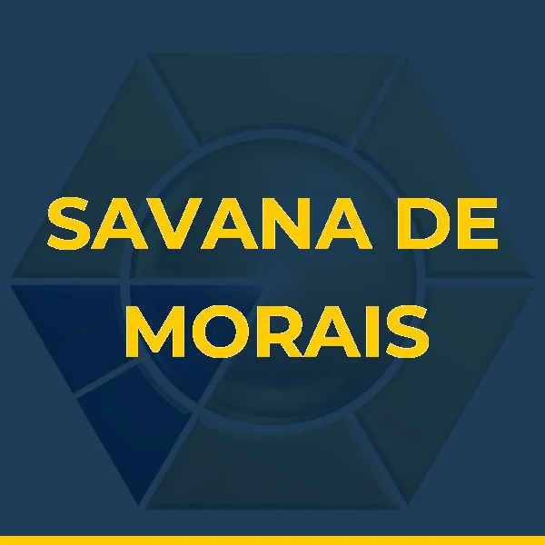 Foto de SAVANA DE MORAIS SILVA