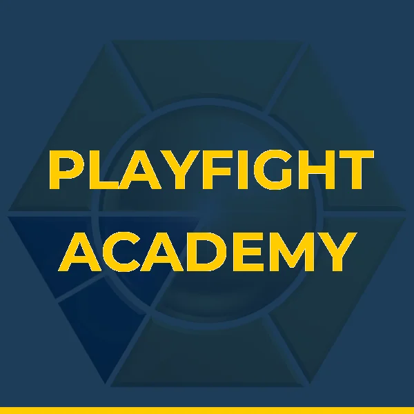 Foto de PLAYFIGHT ACADEMY