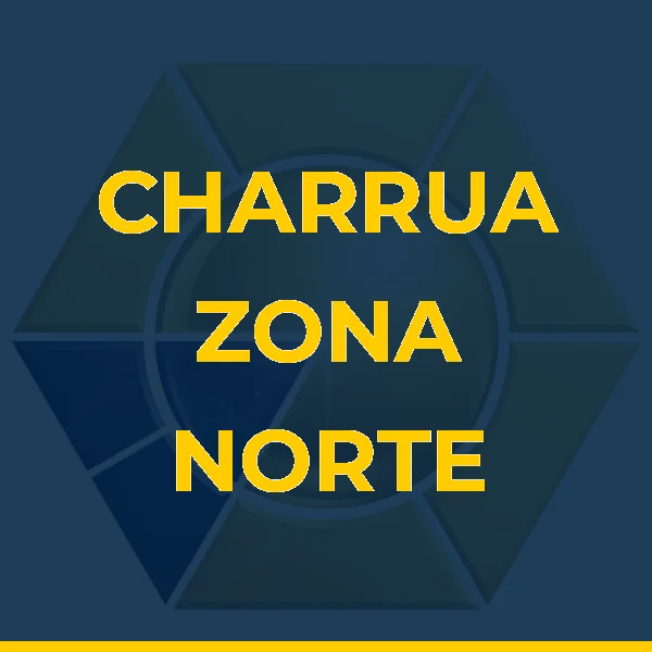 Foto de CHARRUA ZONA NORTE