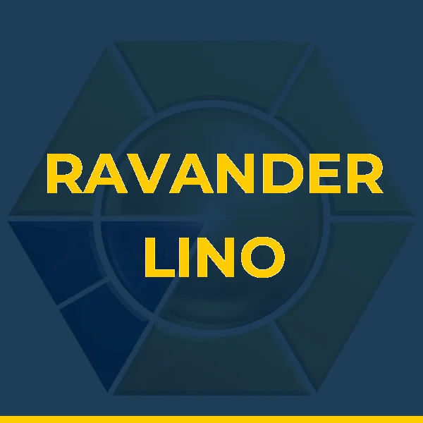 Foto de RAVANDER LINO TREINAMENTOS