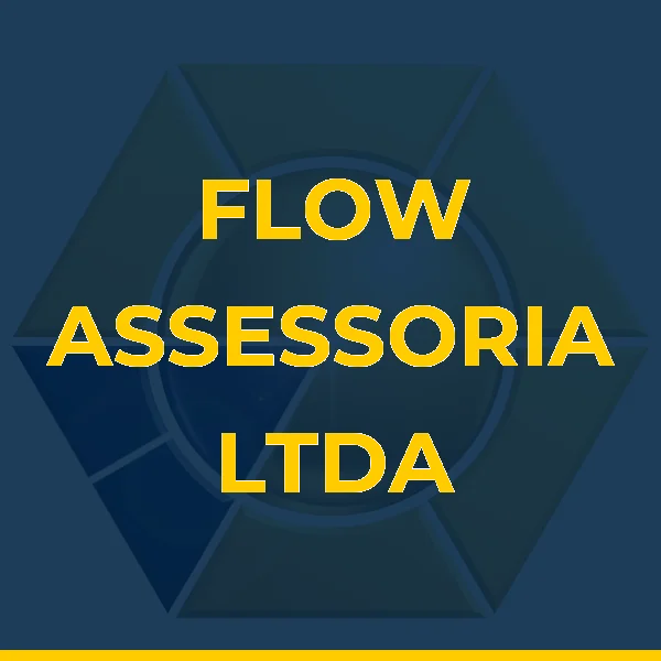 Foto de FLOW ASSESSORIA LTDA
