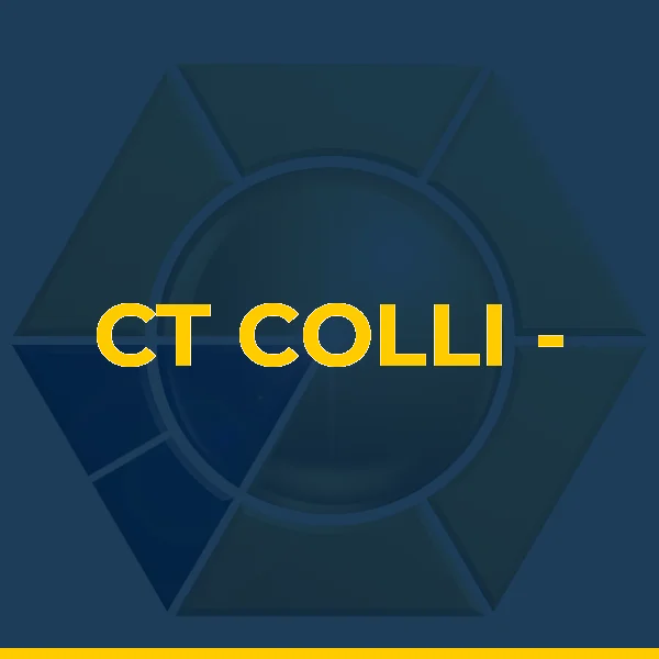 Foto de CT COLLI - CENTRO DE TREINAMENTOS PERSONA