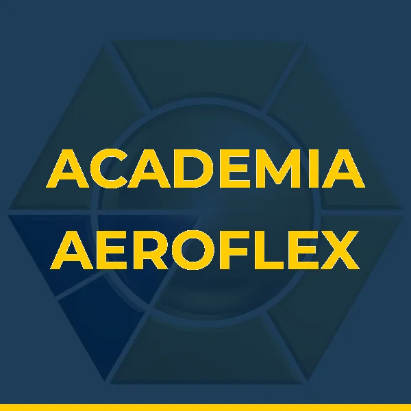 Foto de ACADEMIA AEROFLEX