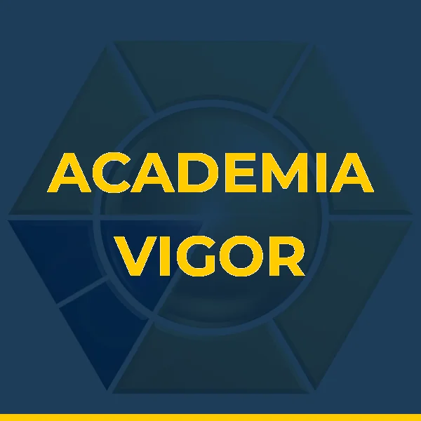 Foto de ACADEMIA VIGOR