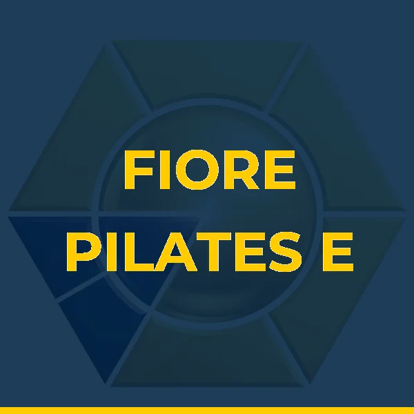 Foto de FIORE PILATES E FISIOTERAPIA