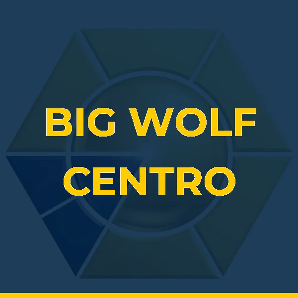Foto de BIG WOLF CENTRO DE TREINAMENTO