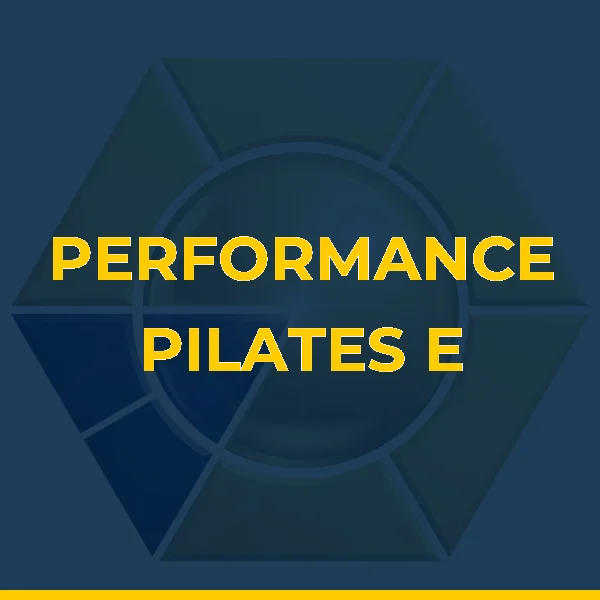 Foto de PERFORMANCE PILATES E FUNCIONAL LTDA
