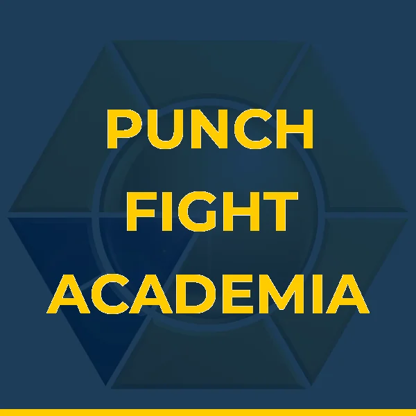 Foto de PUNCH FIGHT ACADEMIA LTDA