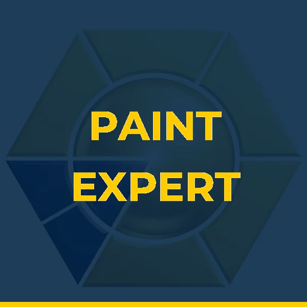Foto de PAINT EXPERT