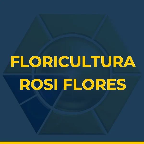 Foto de FLORICULTURA ROSI FLORES LTDA