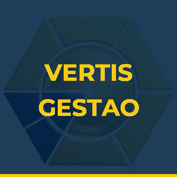 Foto de VERTIS GESTAO