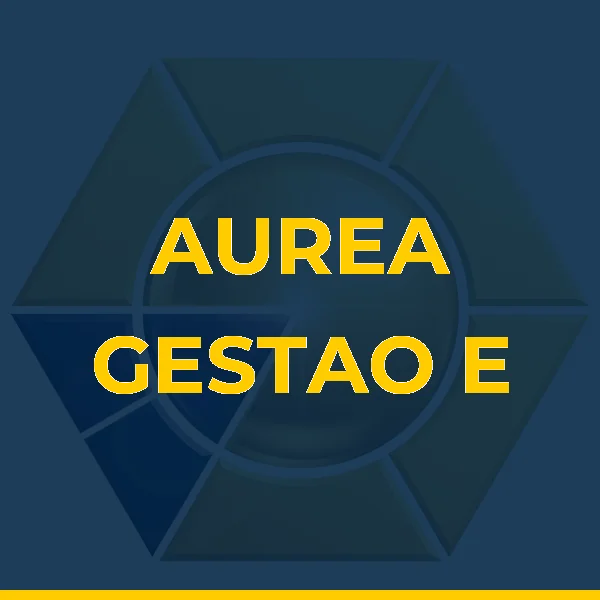 Foto de AUREA GESTAO E ADMINISTRACAO PATRIMONIAL LTDA