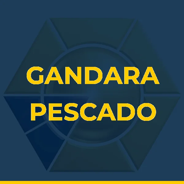 Foto de GANDARA PESCADO
